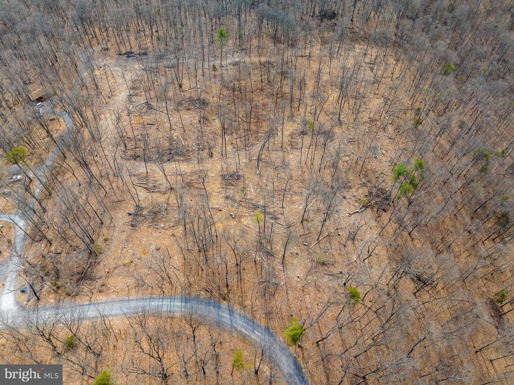 0 HILLTOP / MOCKINGBIRD LANE LOT 19