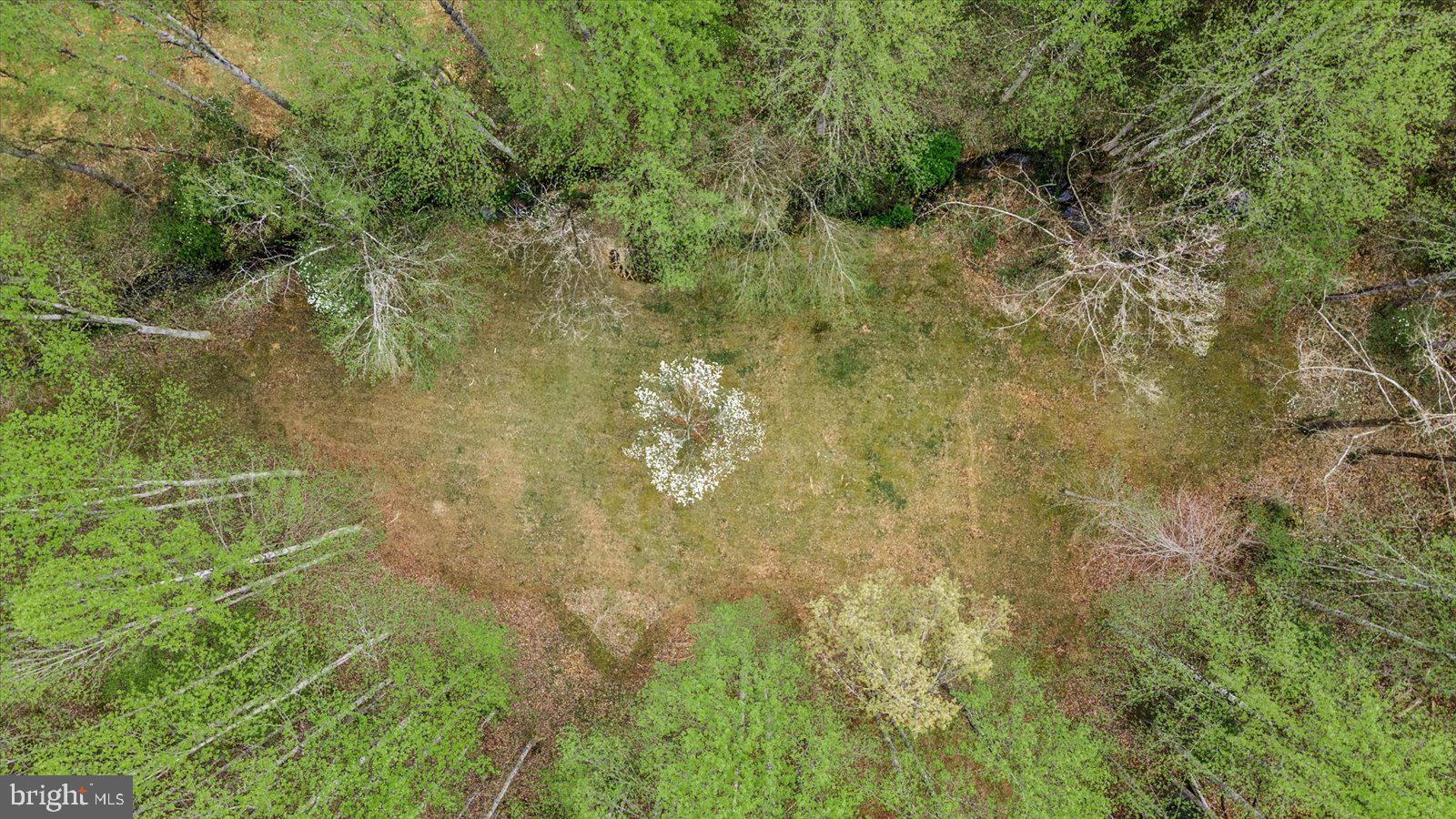 MALVERN OF MADISON - Residential