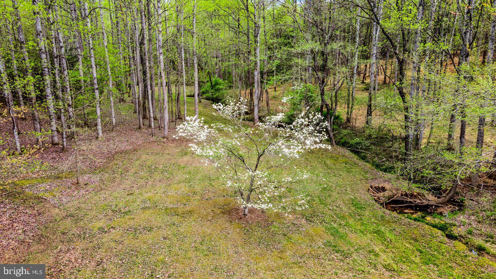 MALVERN OF MADISON - Residential