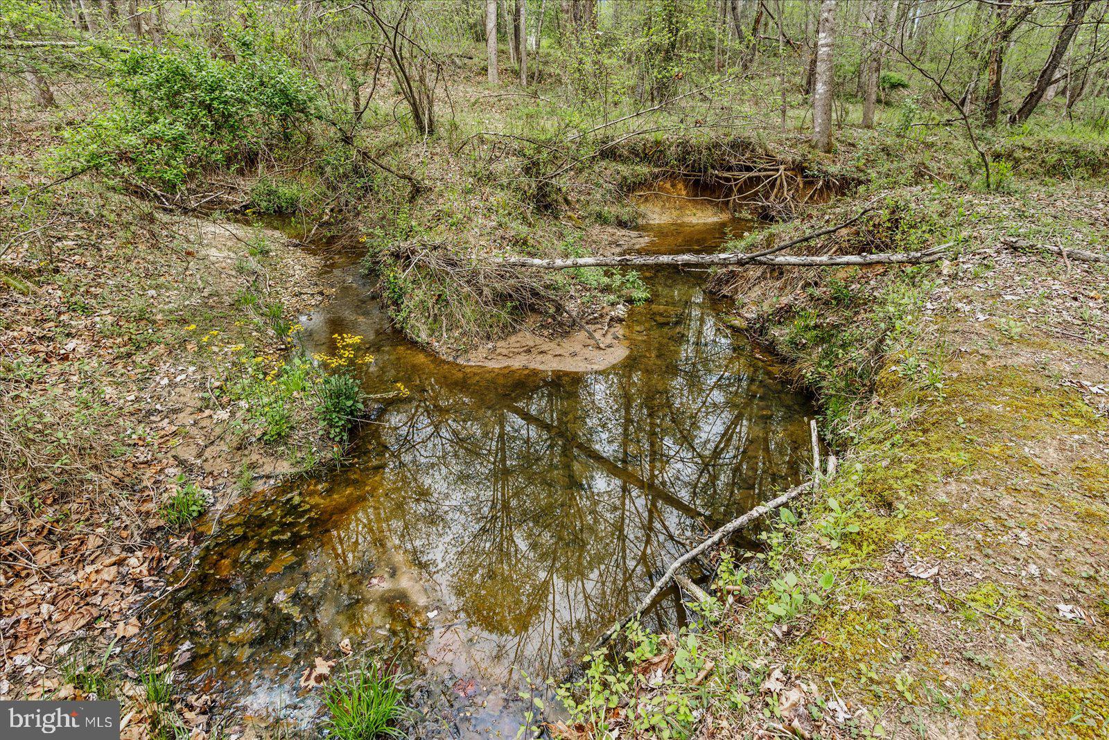 MALVERN OF MADISON - Residential