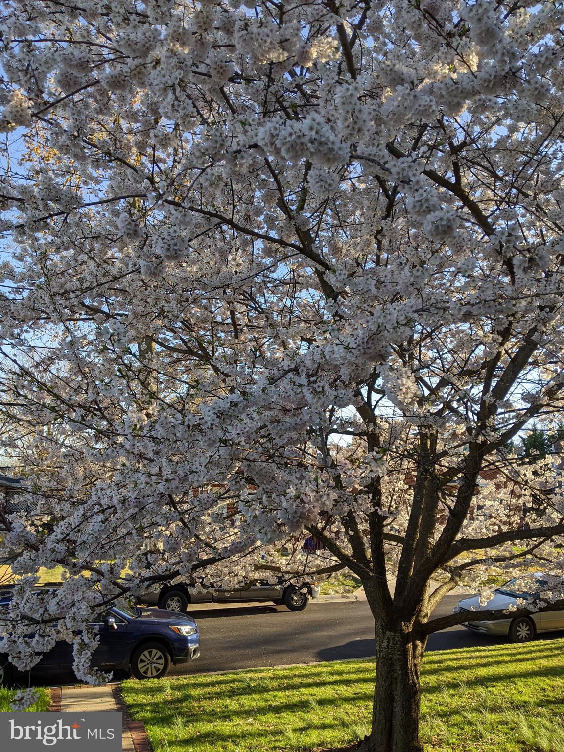 CARROLL KNOLLS - Residential