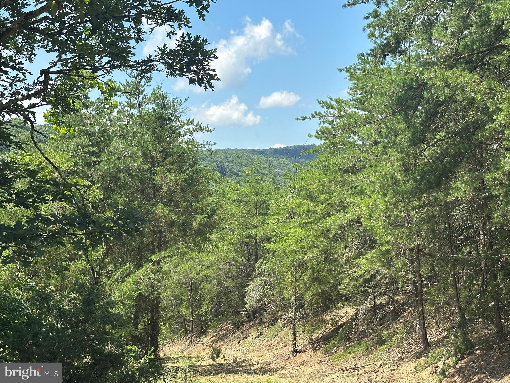 QUIVEY'S GROVE - Land