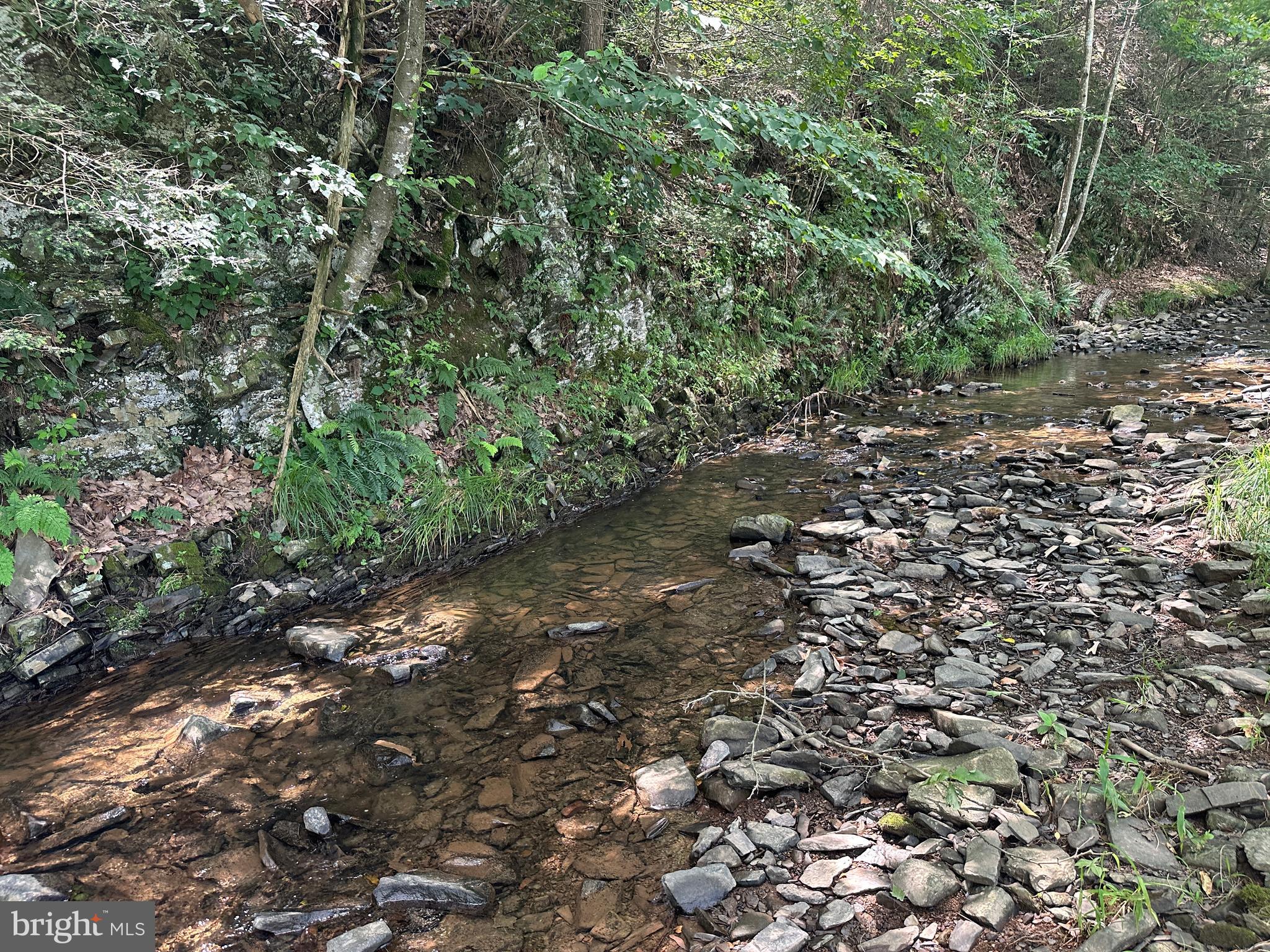 QUIVEY'S GROVE - Land