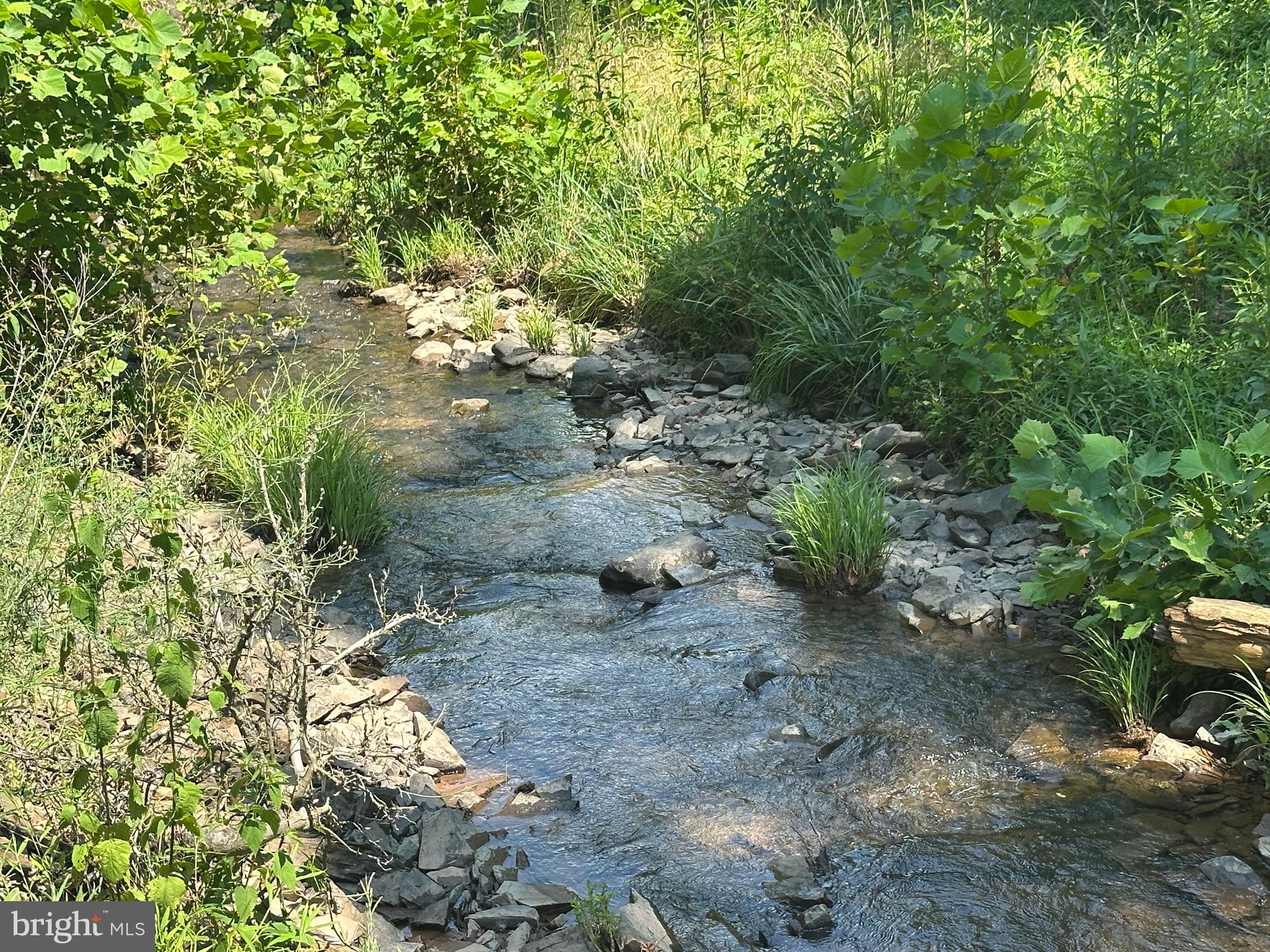 QUIVEY'S GROVE - Land