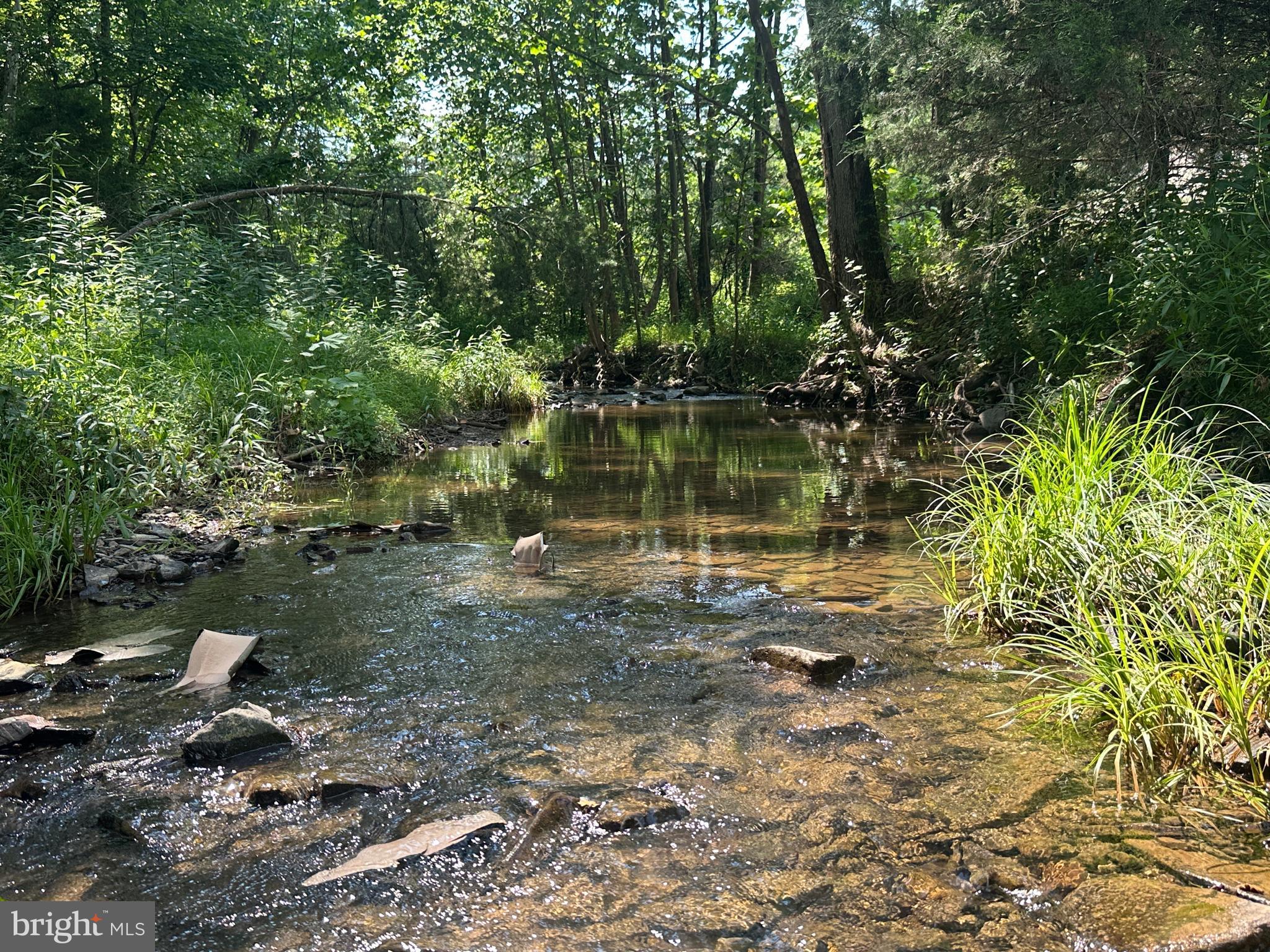 QUIVEY'S GROVE - Land