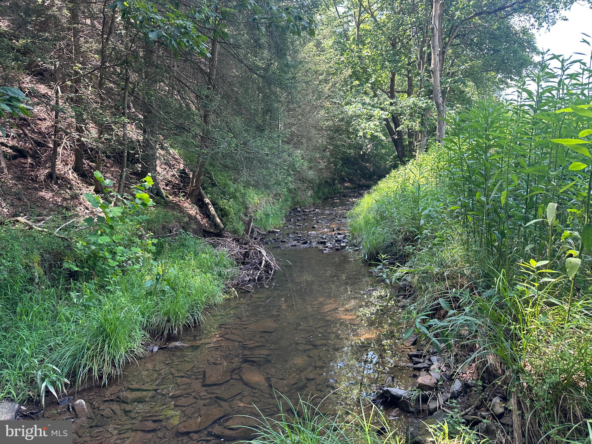 QUIVEY'S GROVE - Land