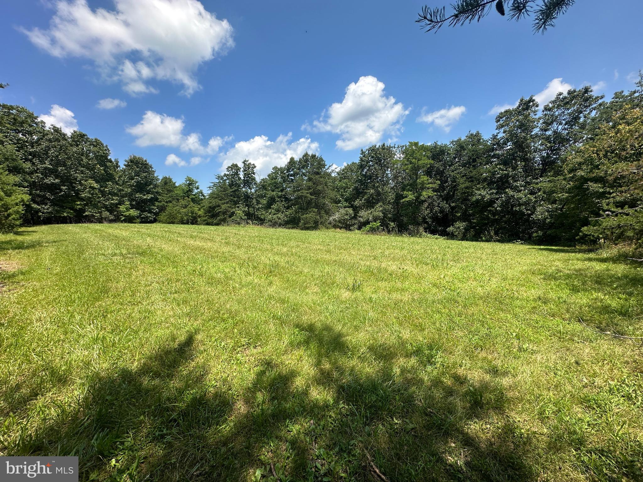 QUIVEY'S GROVE - Land