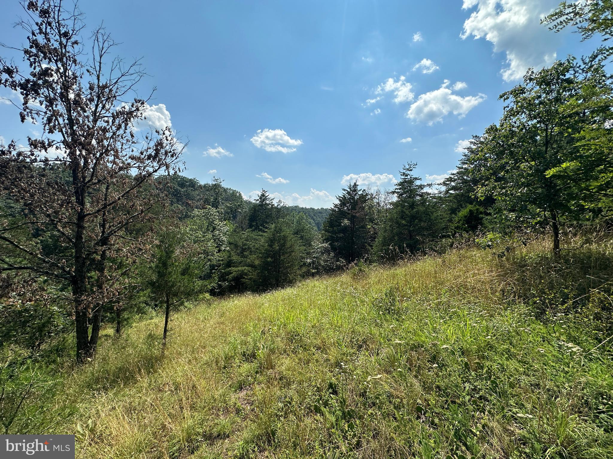 QUIVEY'S GROVE - Land