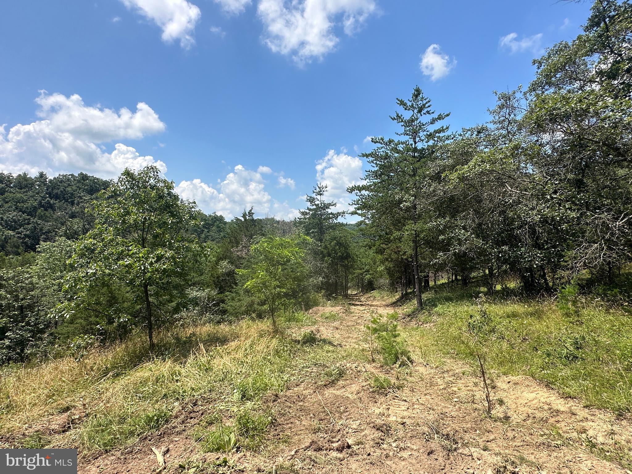 QUIVEY'S GROVE - Land