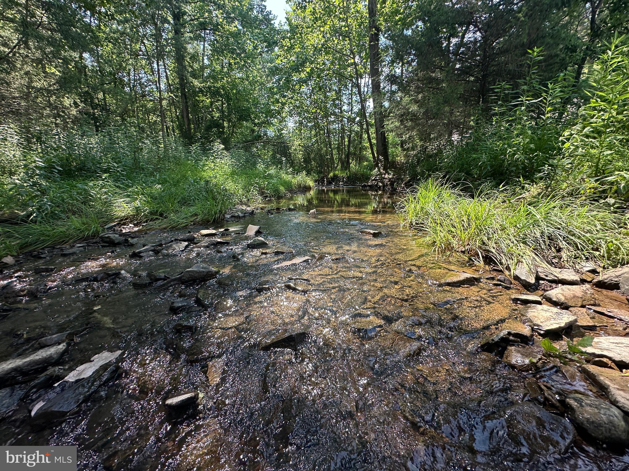 QUIVEY'S GROVE - Land