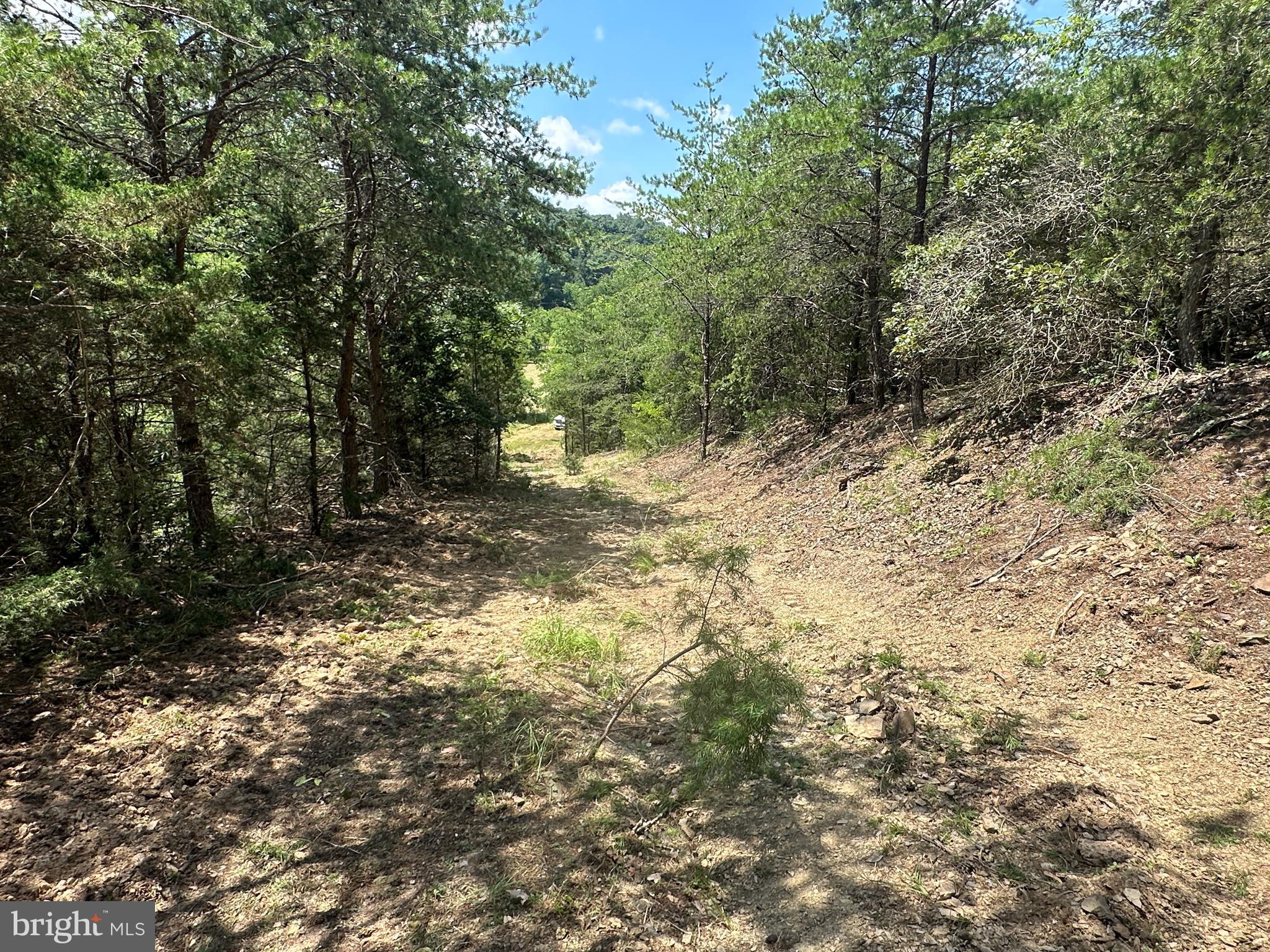 QUIVEY'S GROVE - Land