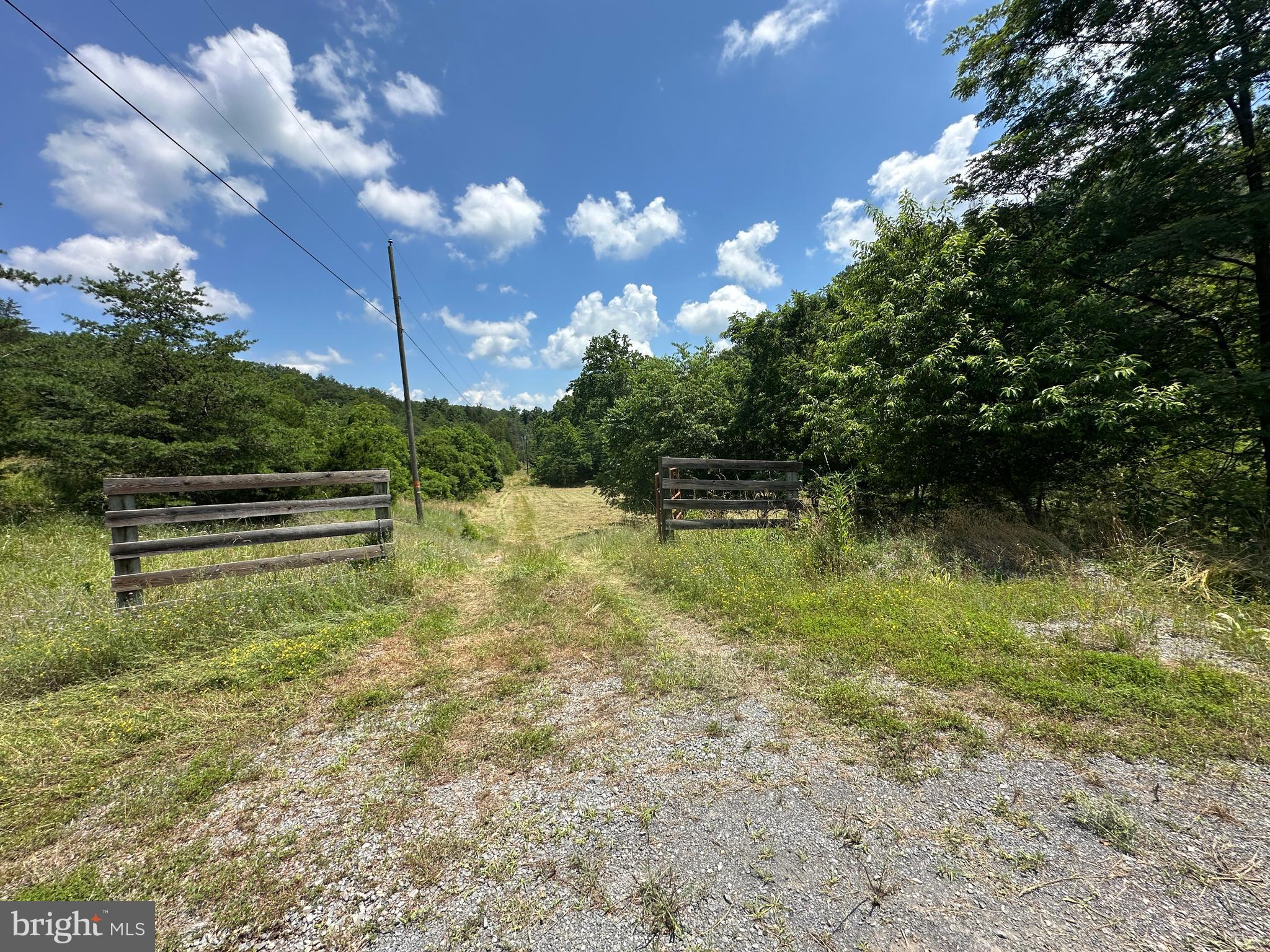 QUIVEY'S GROVE - Land