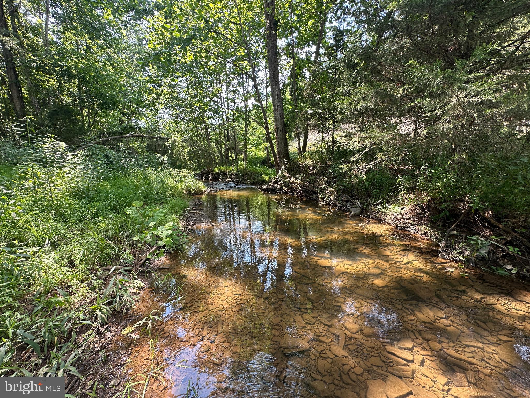 QUIVEY'S GROVE - Land