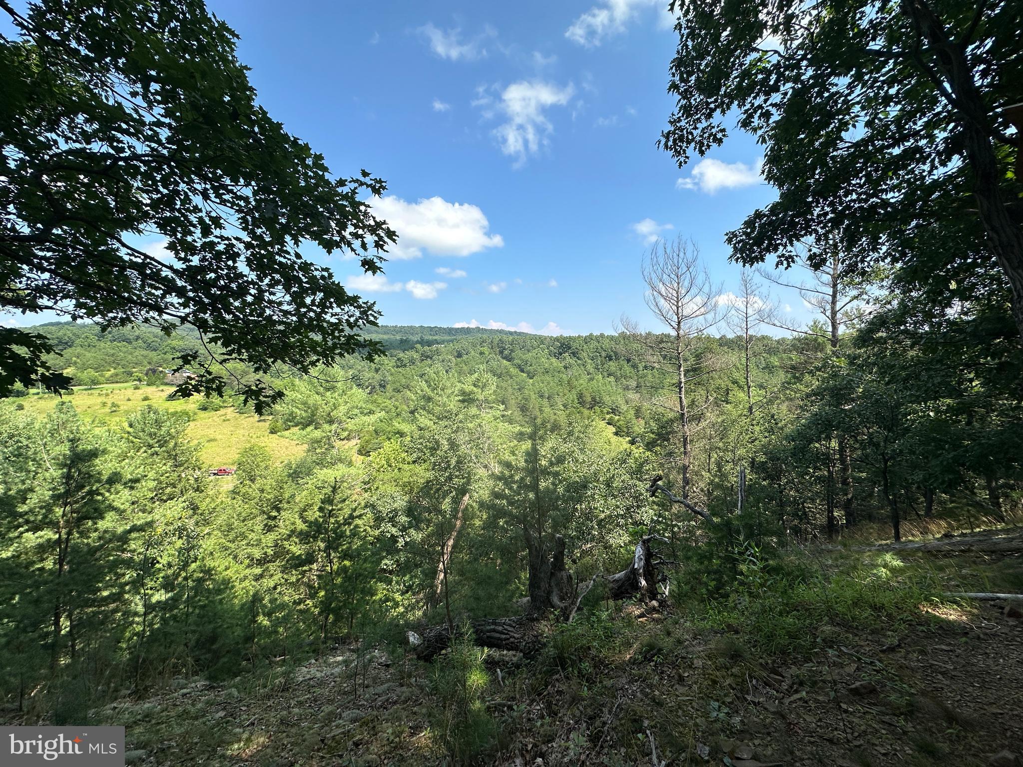 QUIVEY'S GROVE - Land