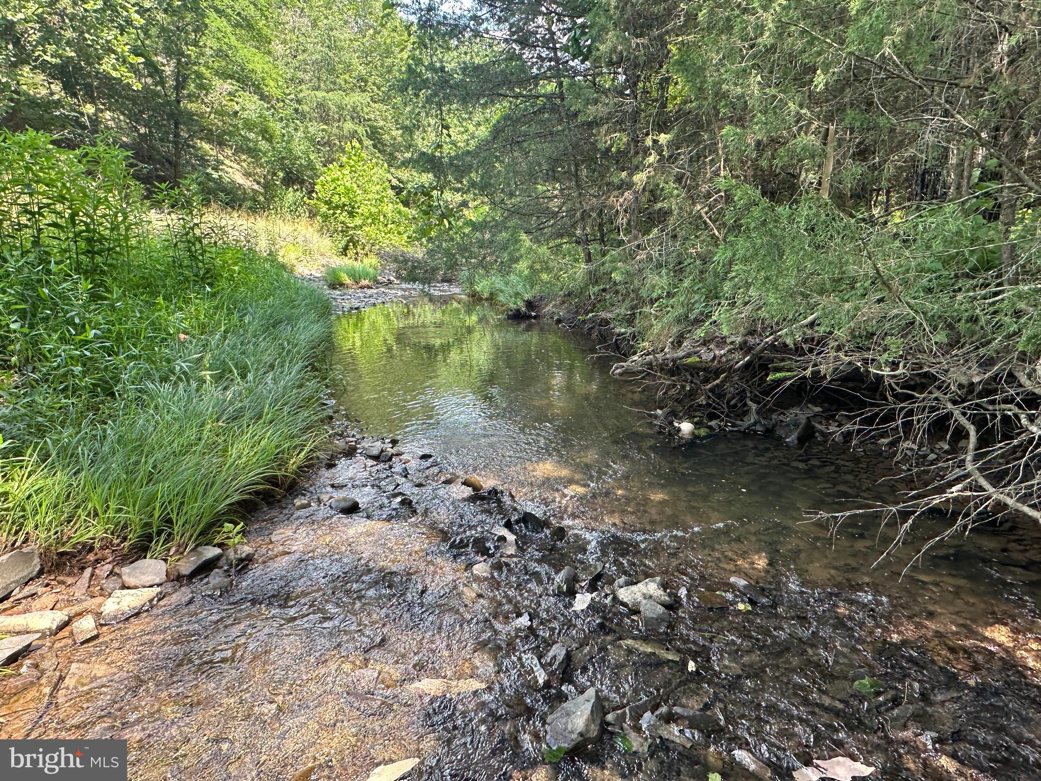 QUIVEY'S GROVE - Land