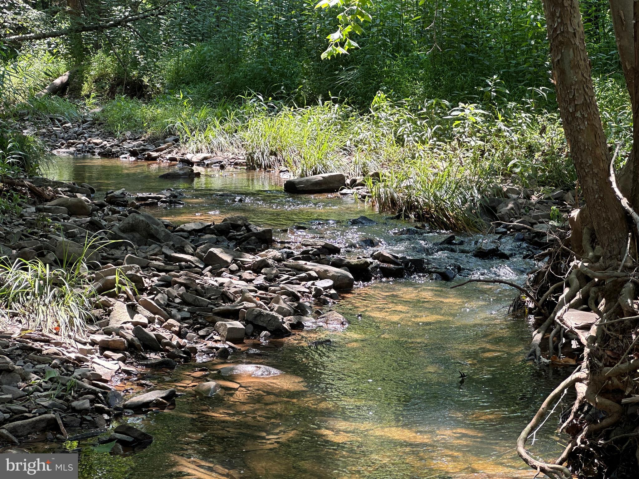 QUIVEY'S GROVE - Land