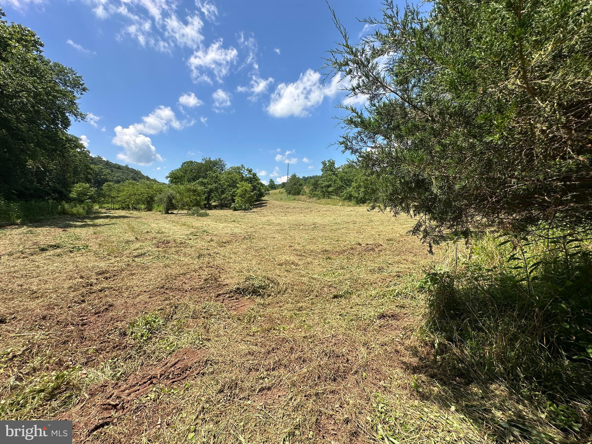 QUIVEY'S GROVE - Land