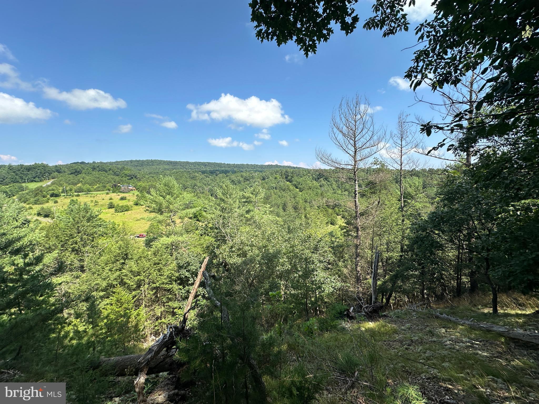 QUIVEY'S GROVE - Land