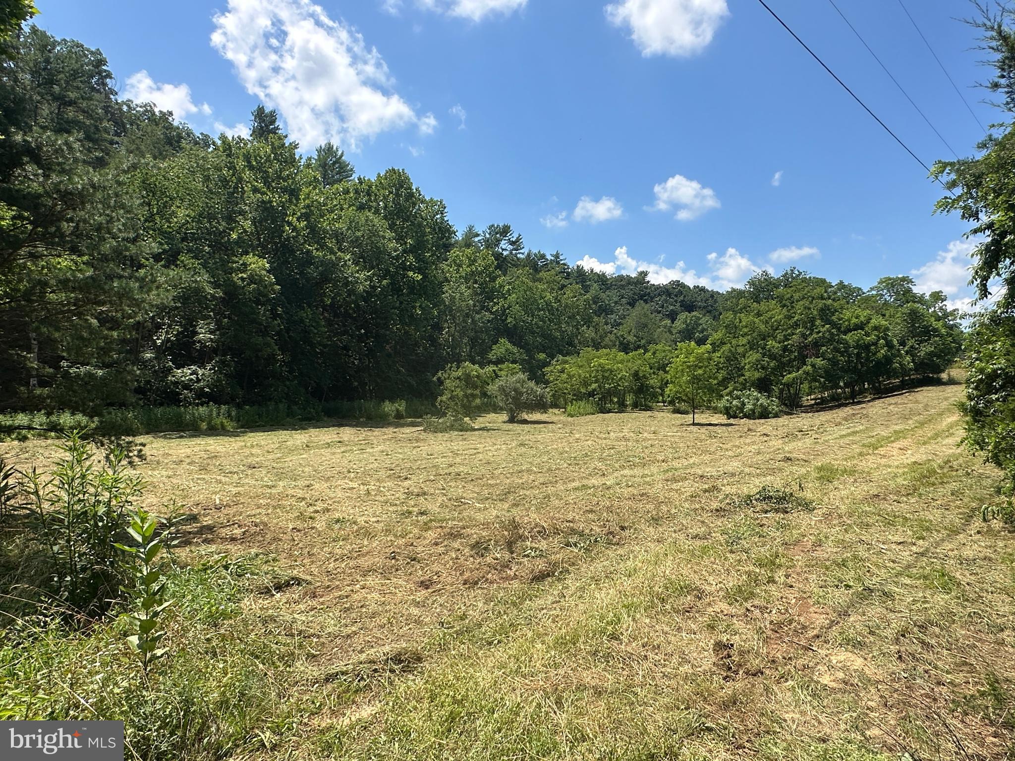 QUIVEY'S GROVE - Land