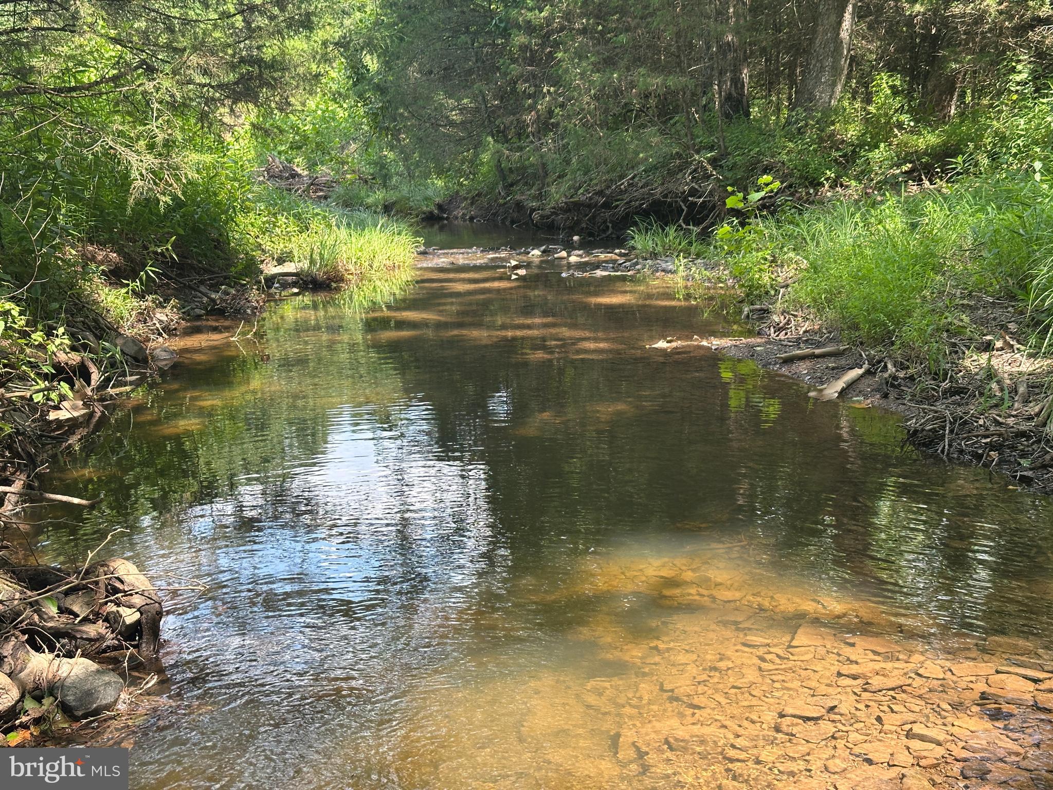 QUIVEY'S GROVE - Land