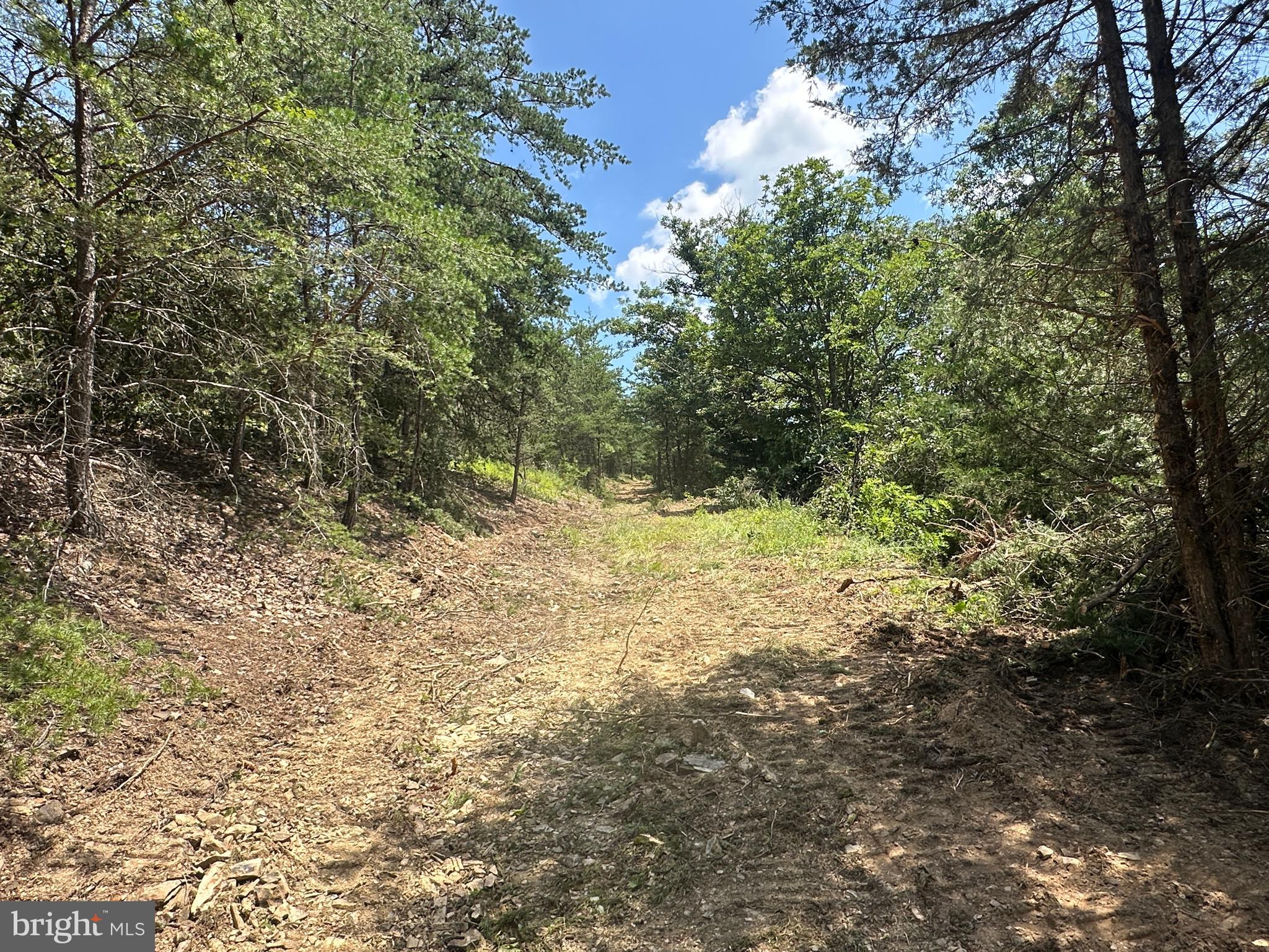 QUIVEY'S GROVE - Land