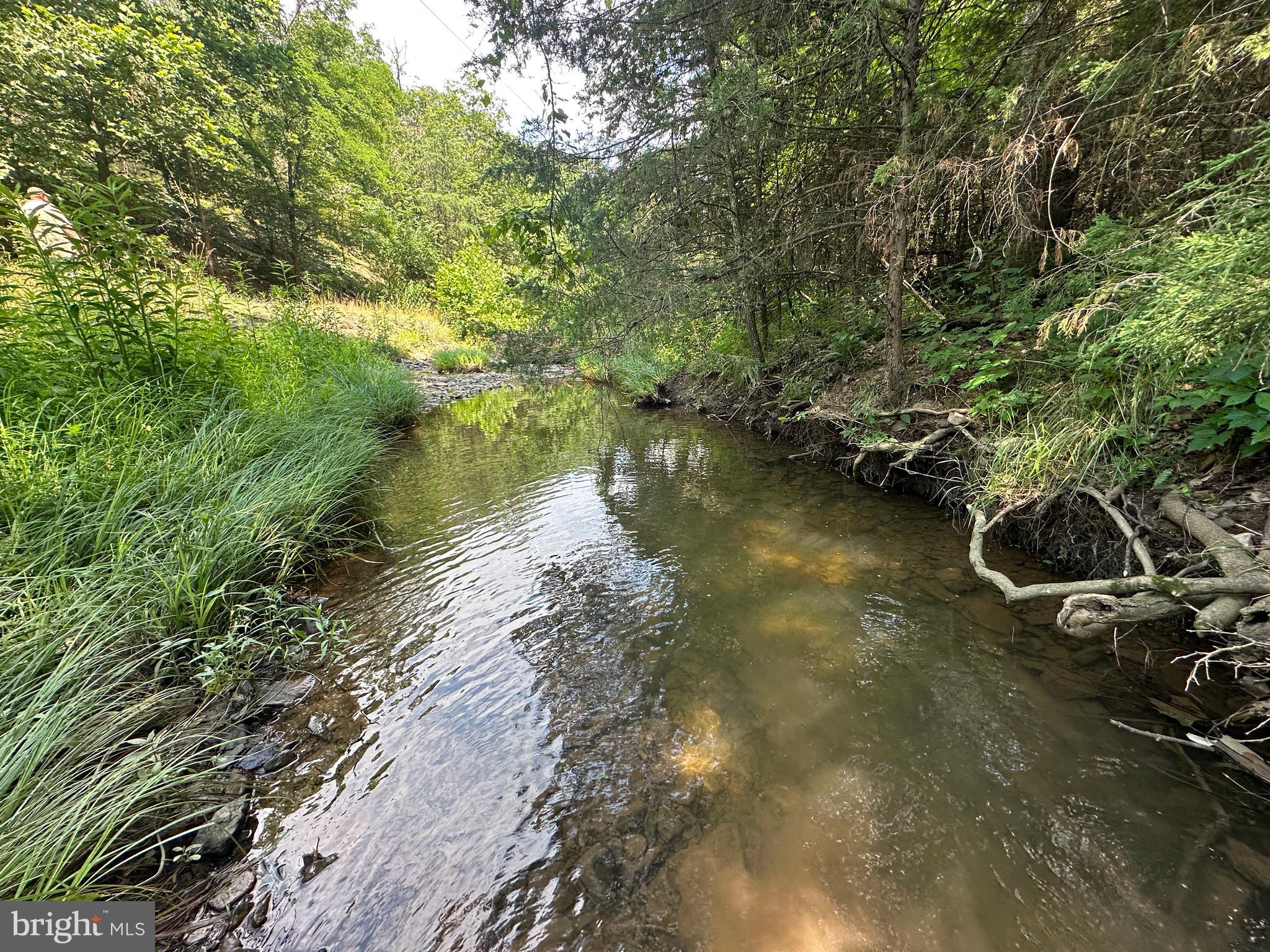 QUIVEY'S GROVE - Land