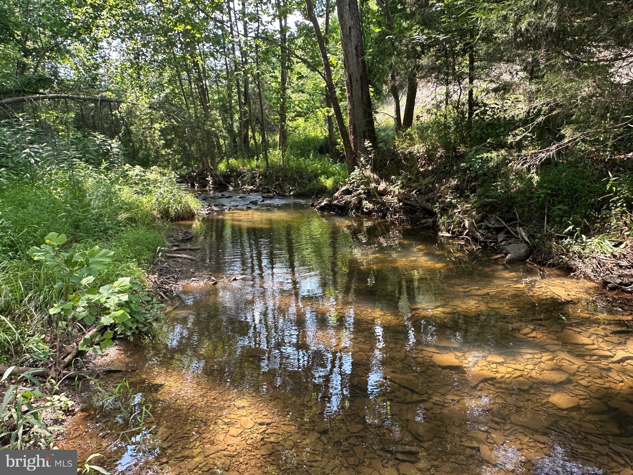 QUIVEY'S GROVE - Land