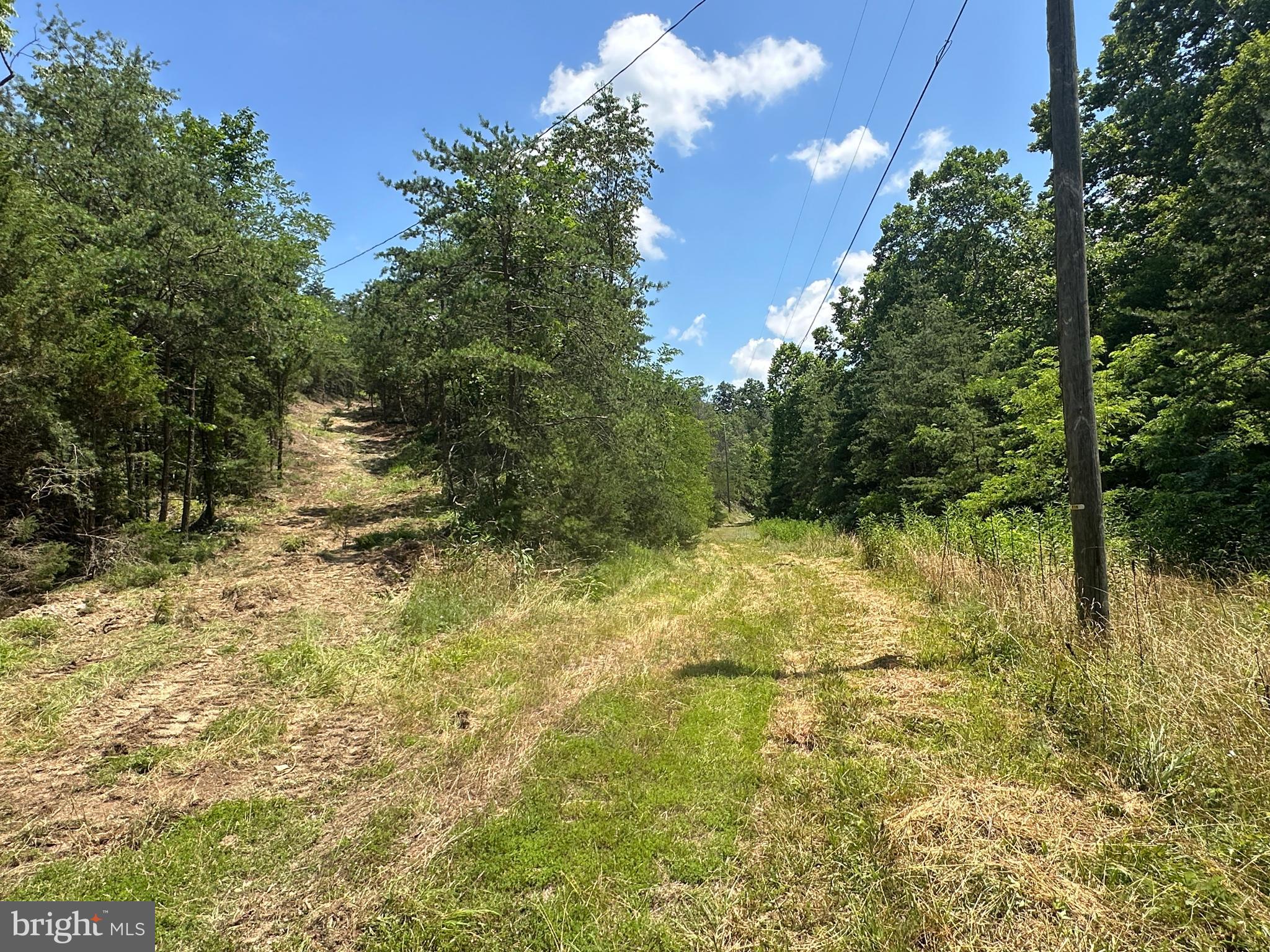 QUIVEY'S GROVE - Land