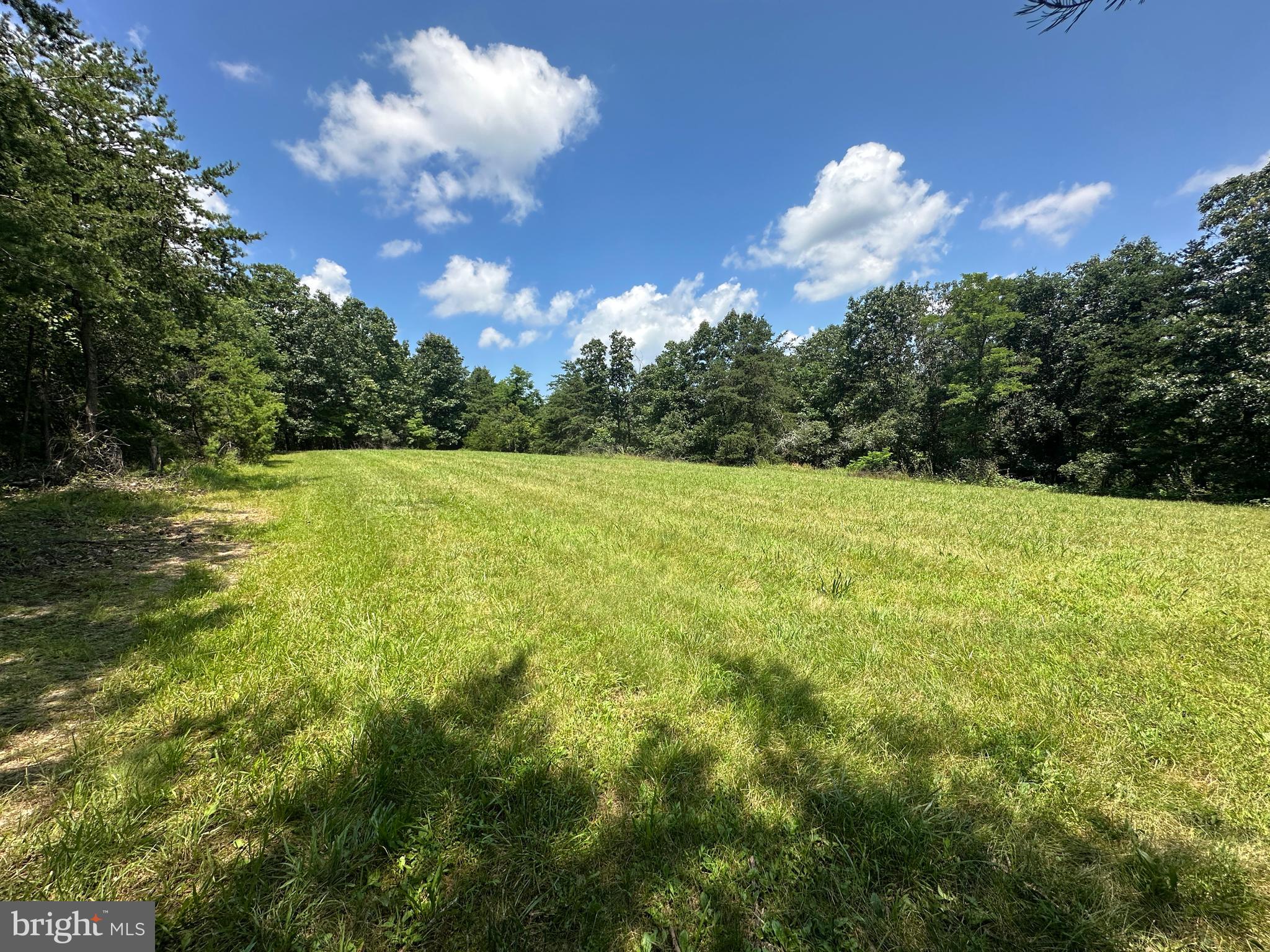 QUIVEY'S GROVE - Land