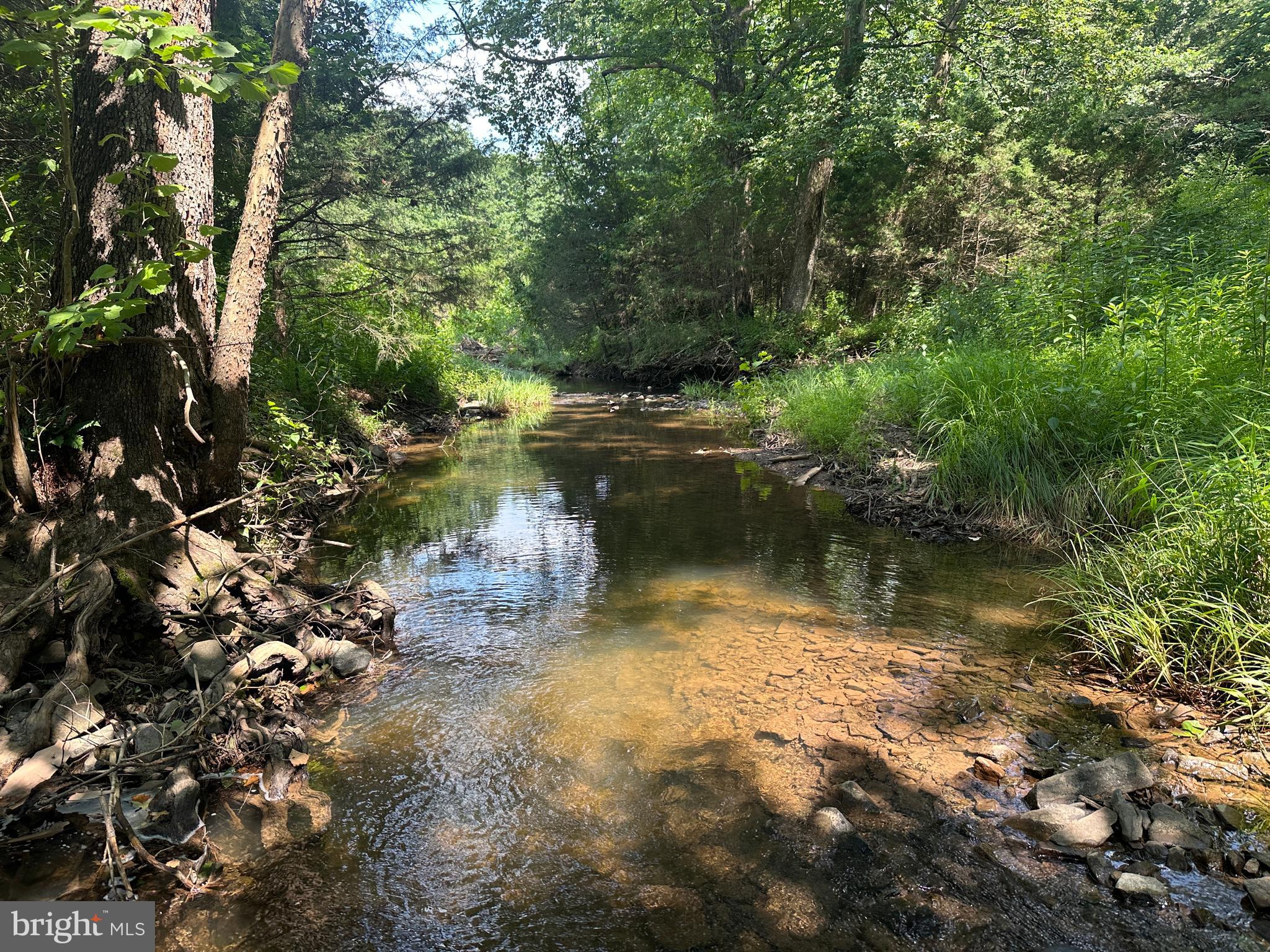 QUIVEY'S GROVE - Land