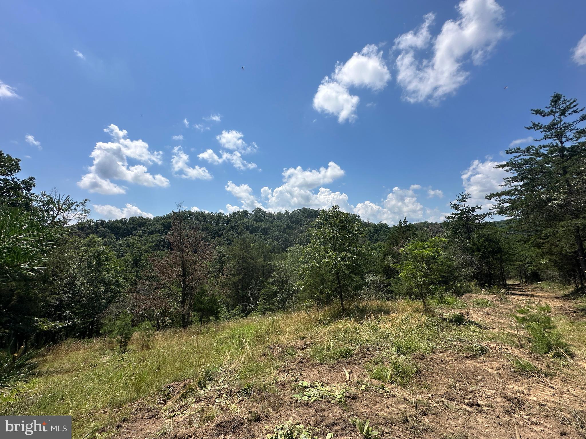 QUIVEY'S GROVE - Land