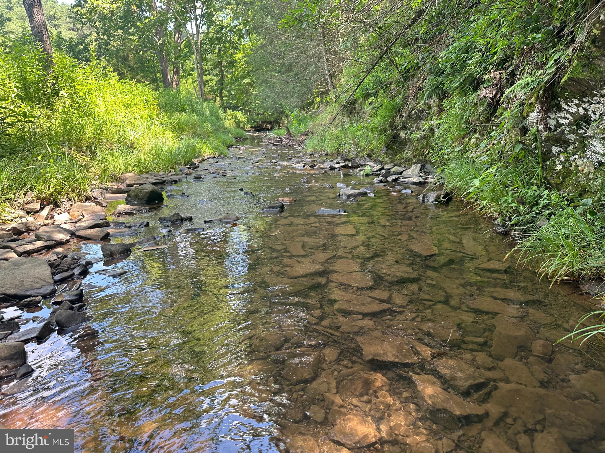 QUIVEY'S GROVE - Land