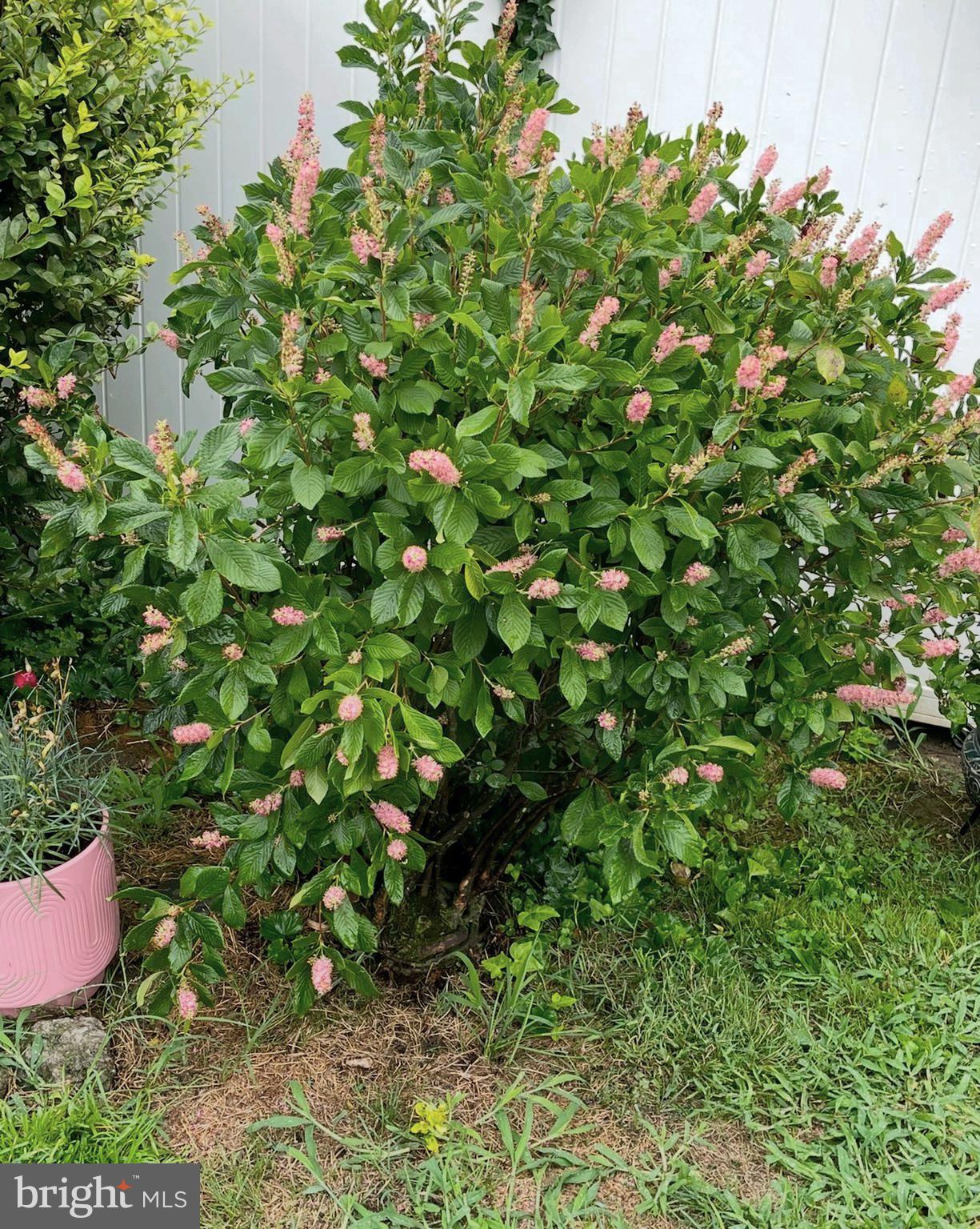 EDDYSTONE VILLAGE - Residential