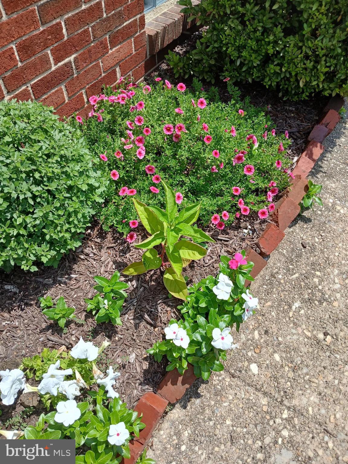 PARKVILLE - Residential