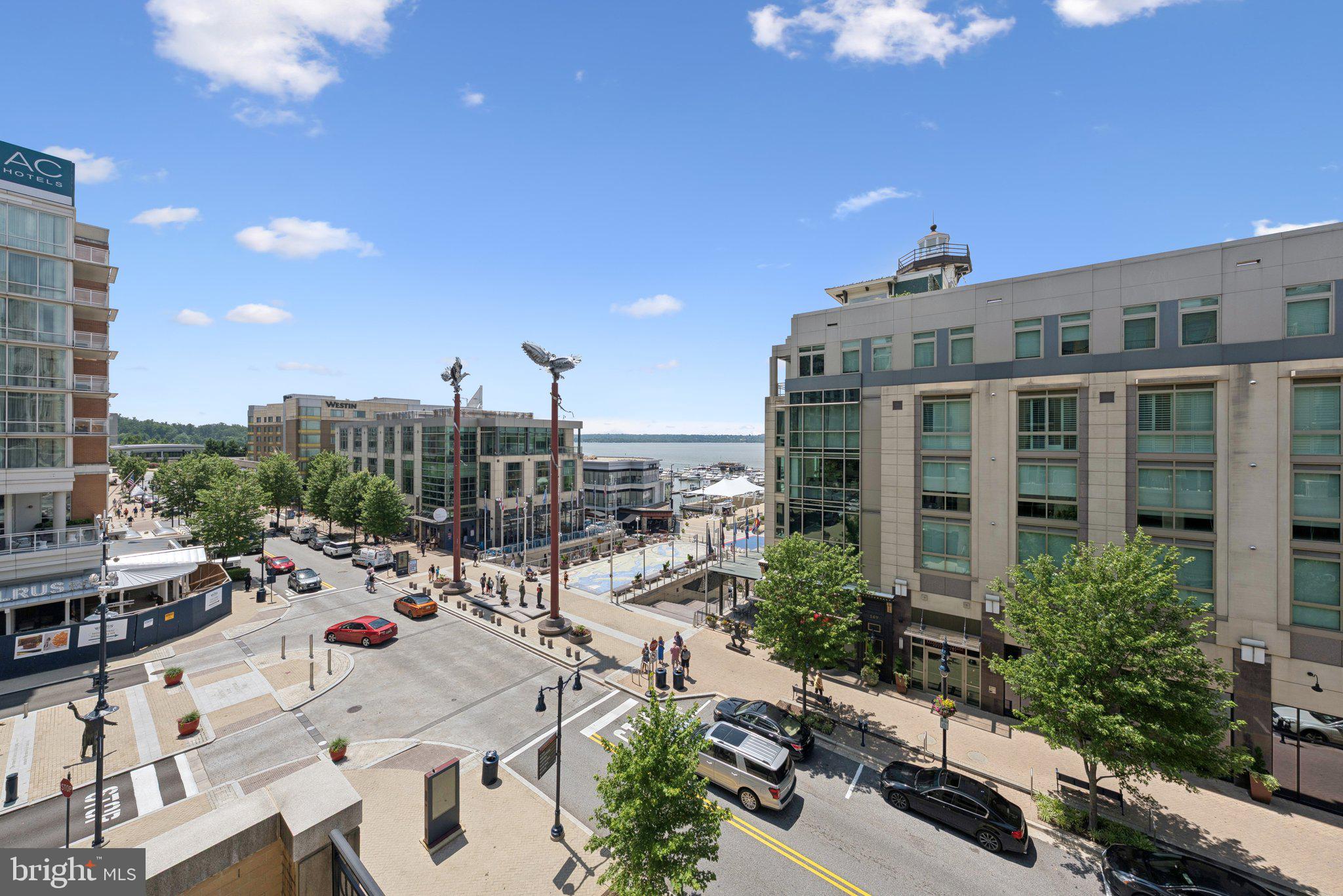 155 POTOMAC PASSAGE 320