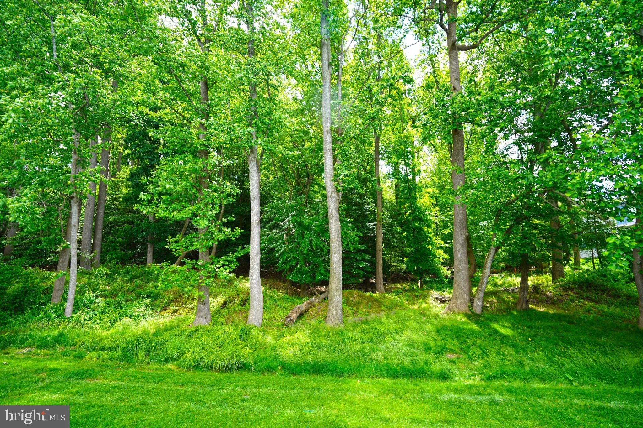 Lewes, Delaware 19958, United States, 5 Bedrooms Bedrooms, ,5 BathroomsBathrooms,Residential,Active,140714