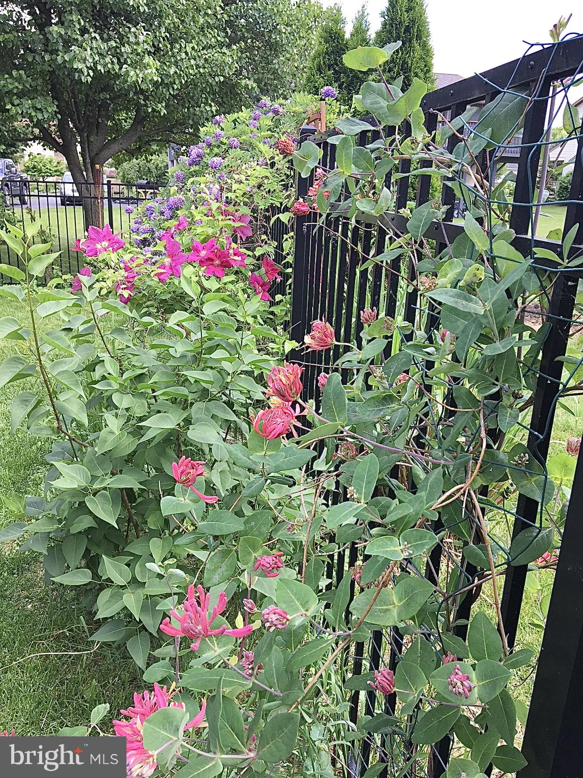 GOOD HOPE I - Residential