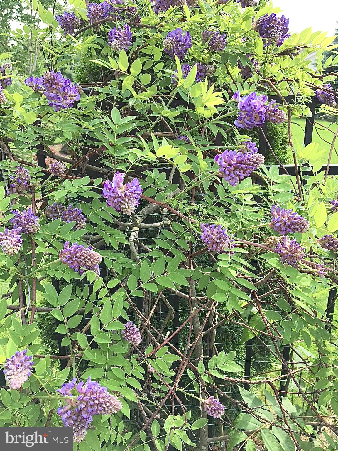 GOOD HOPE I - Residential