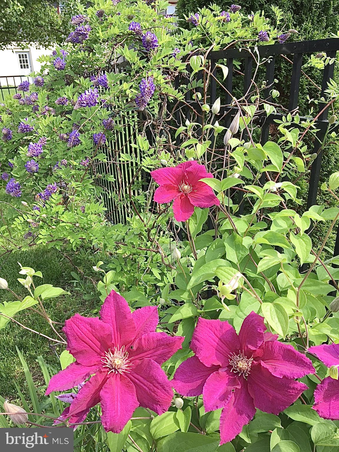 GOOD HOPE I - Residential