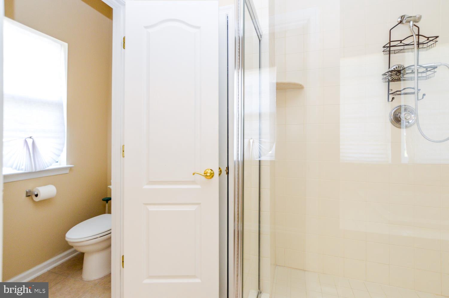 LAKEVIEW AT BRANDYWINE - Residential