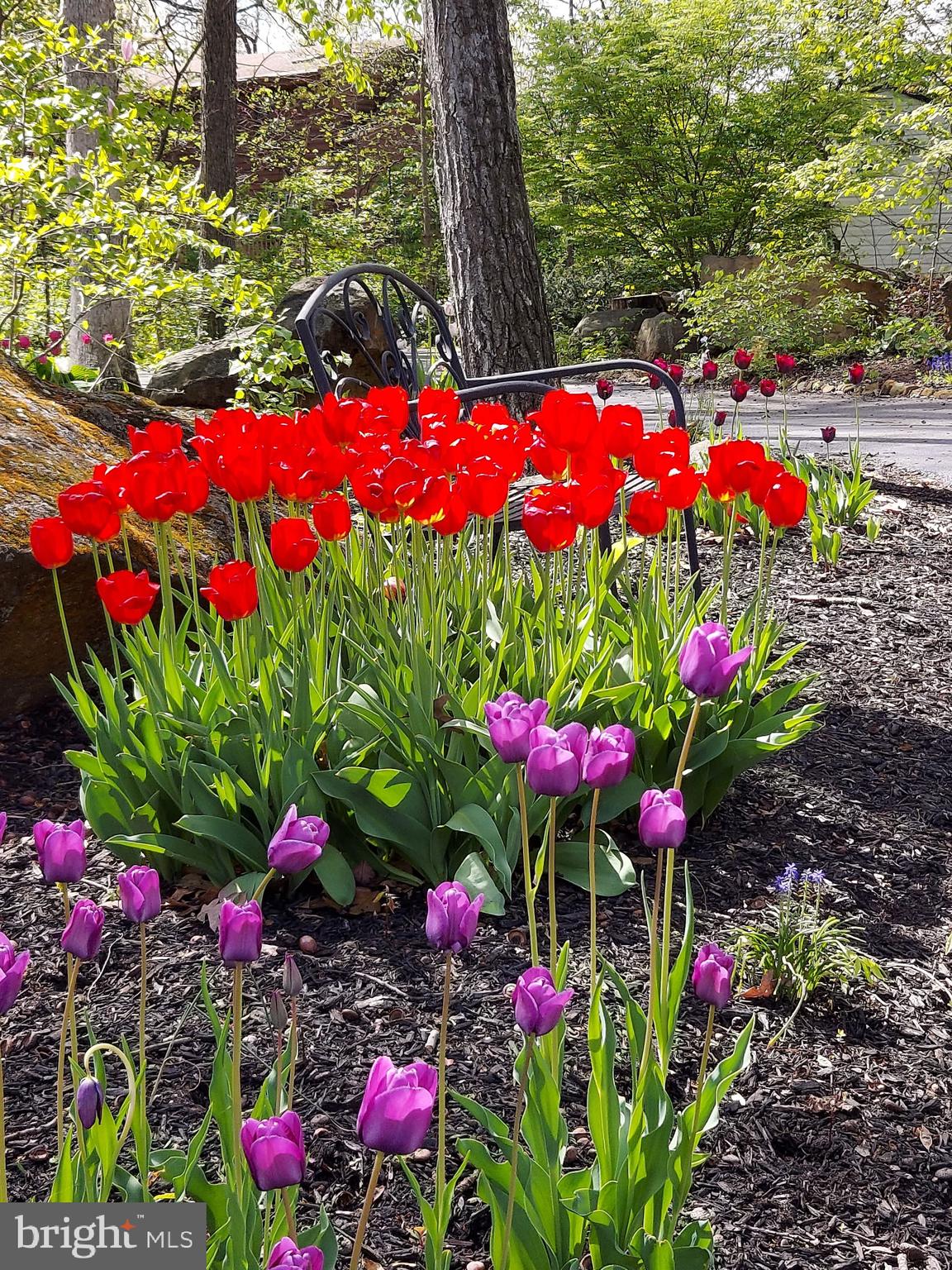 LAKE MEADE - Residential