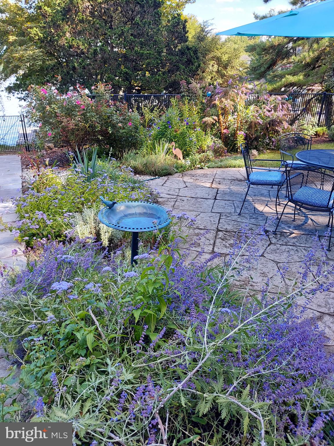 LAKE MEADE - Residential