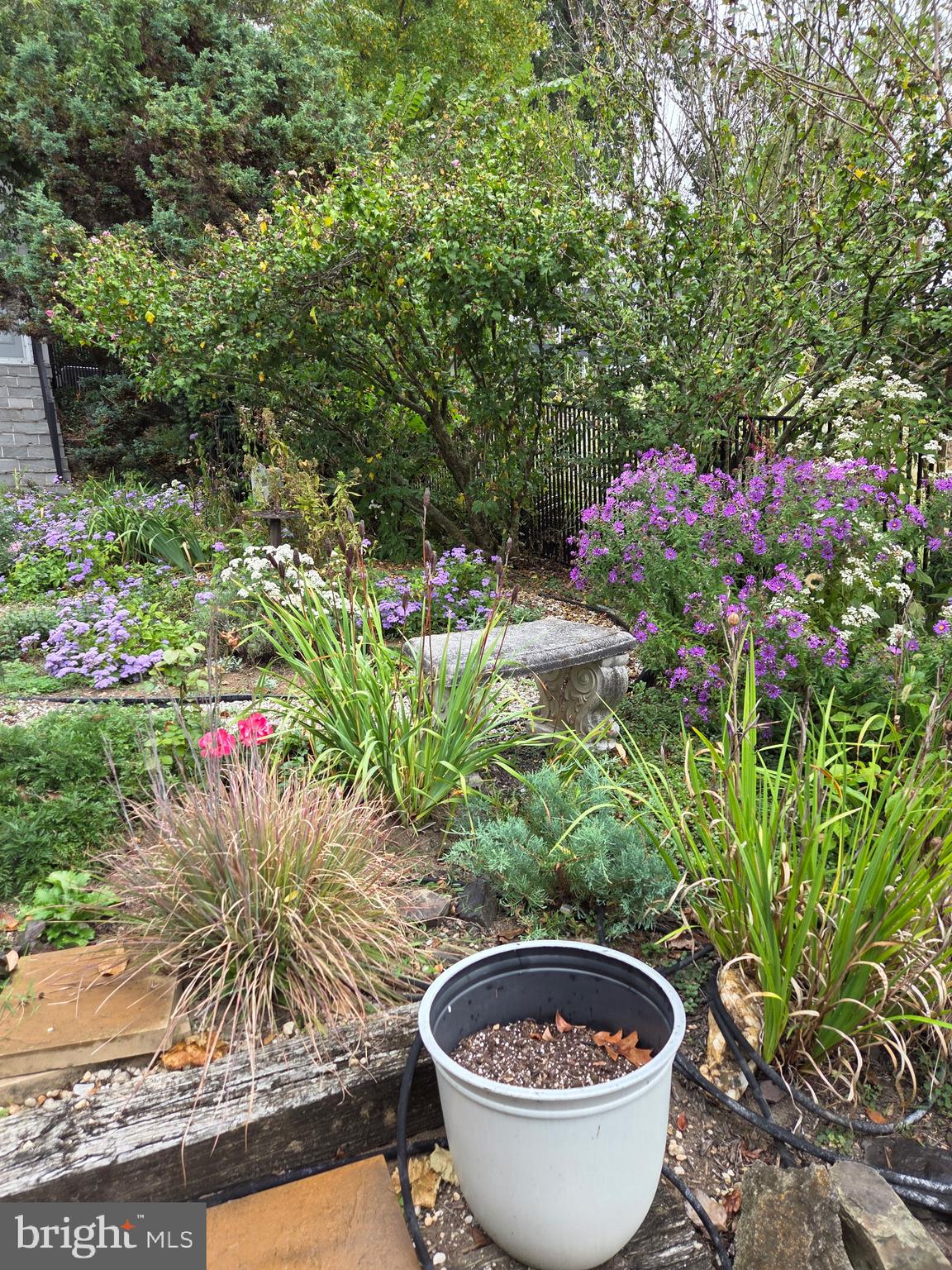 LAKE MEADE - Residential