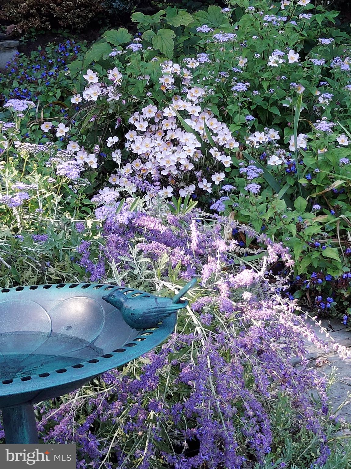 LAKE MEADE - Residential