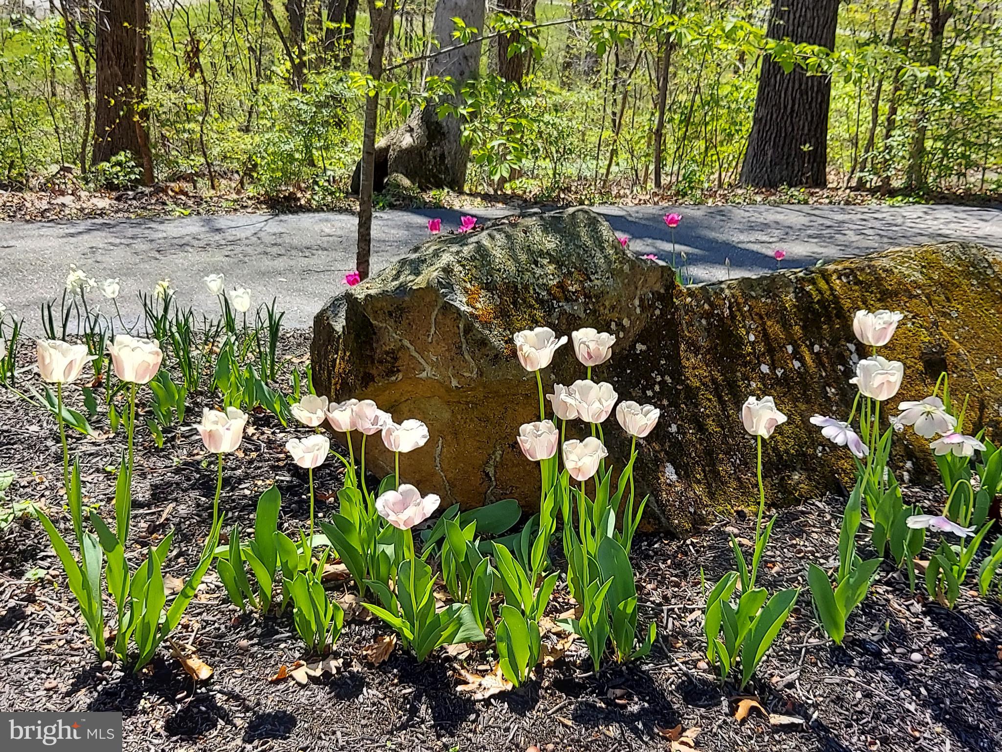 LAKE MEADE - Residential