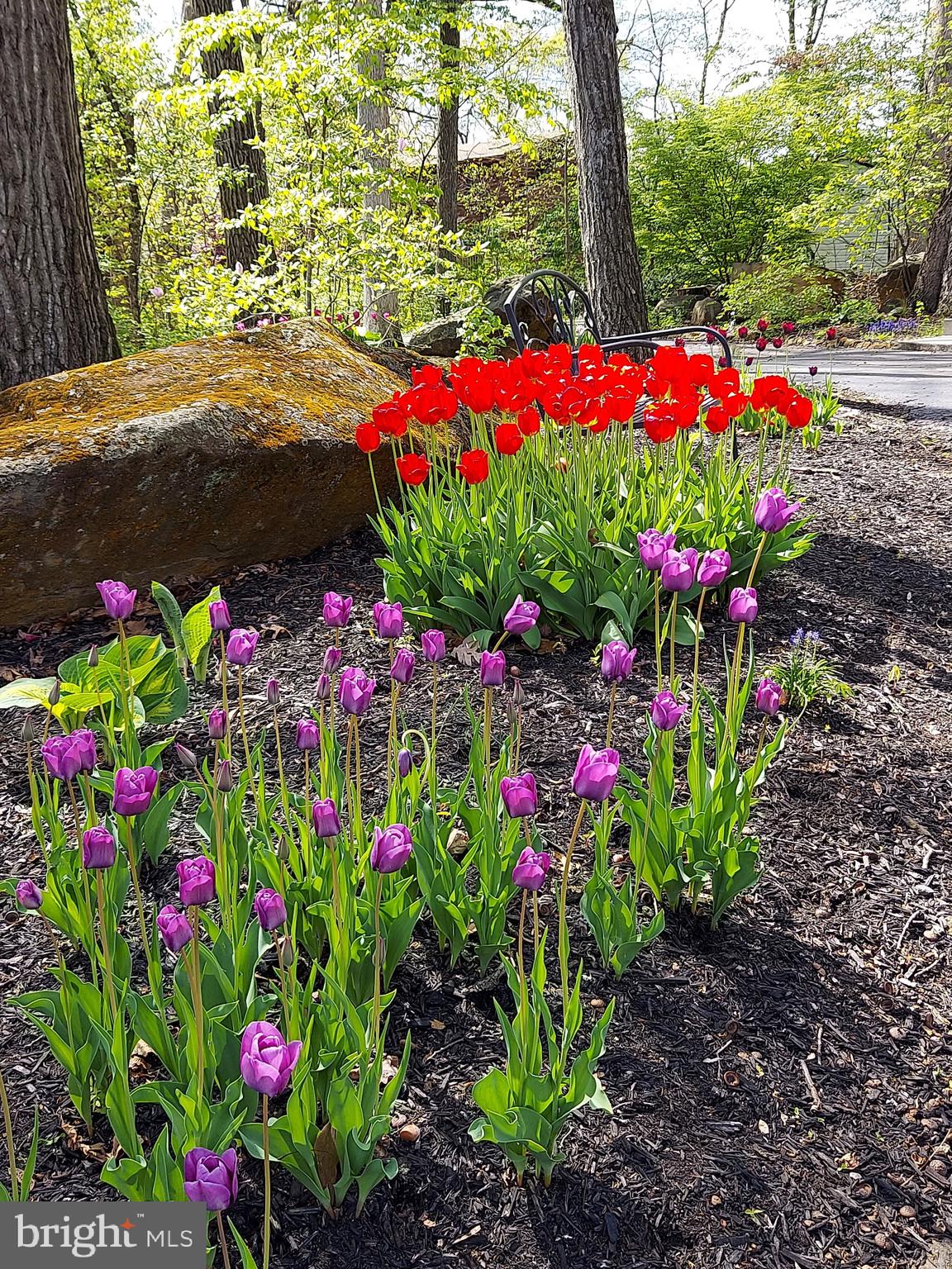 LAKE MEADE - Residential