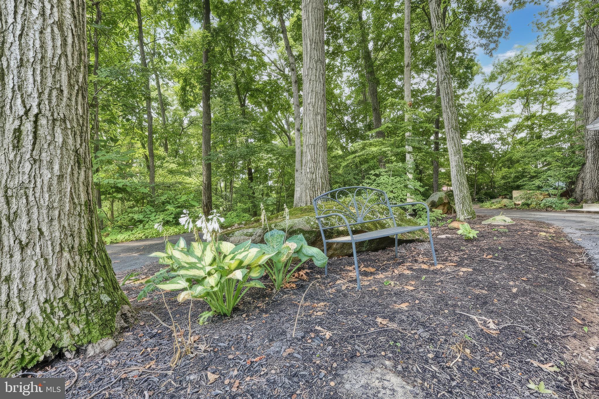 LAKE MEADE - Residential