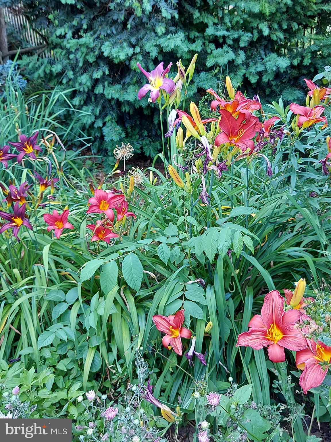 LAKE MEADE - Residential