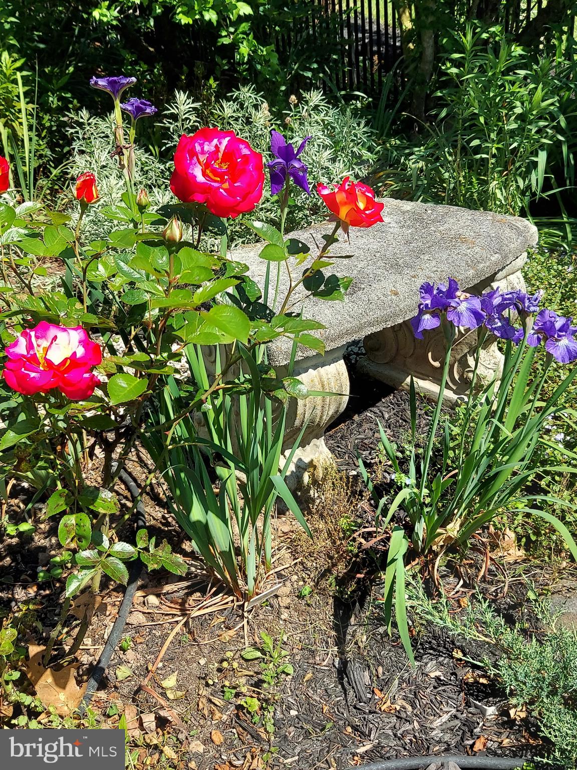 LAKE MEADE - Residential