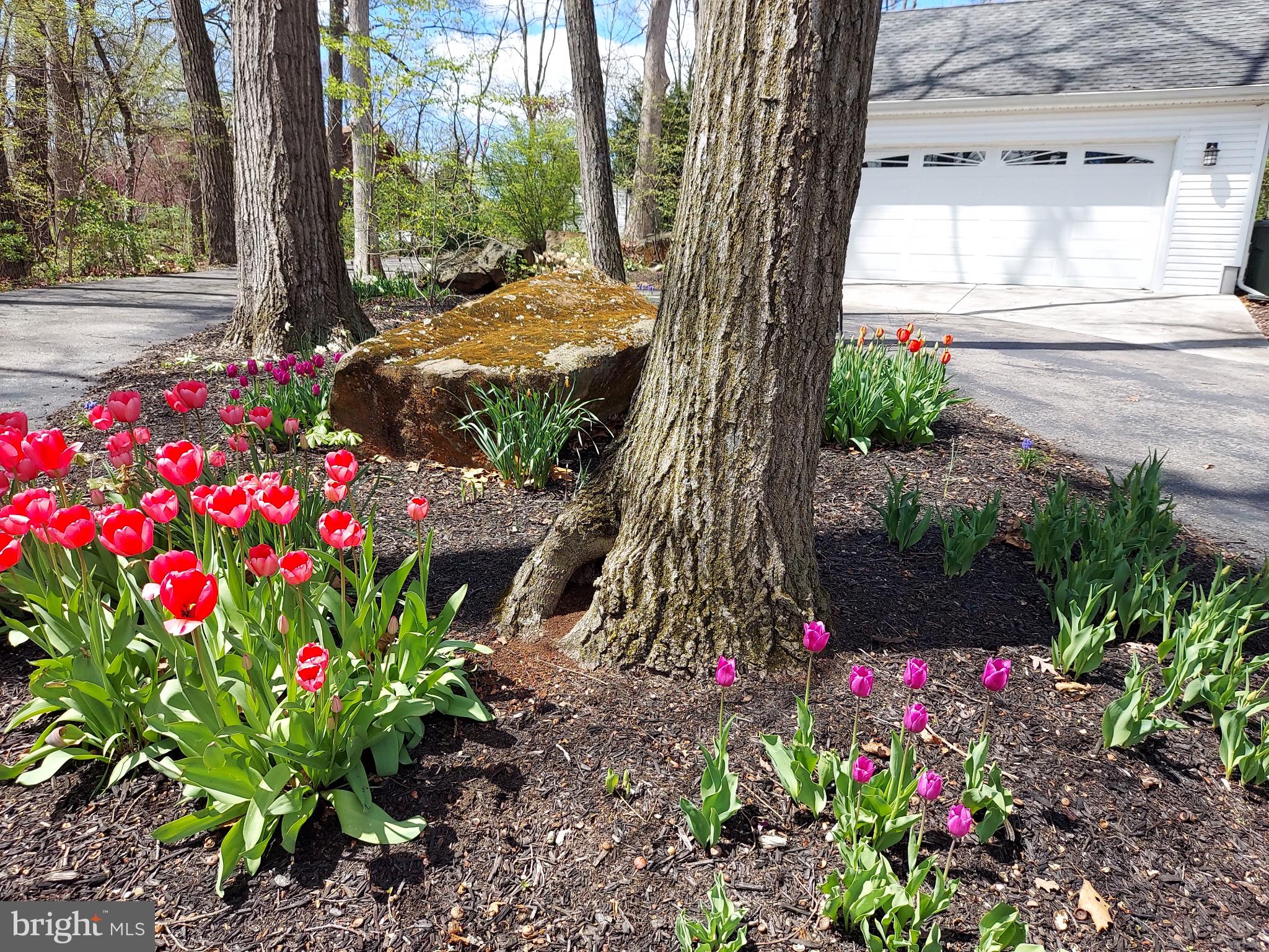 LAKE MEADE - Residential